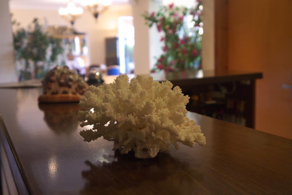 Fani Hotel Loutra Edipsou  ภายนอก รูปภาพ